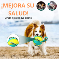 Juguete pelota DiscoPaws™