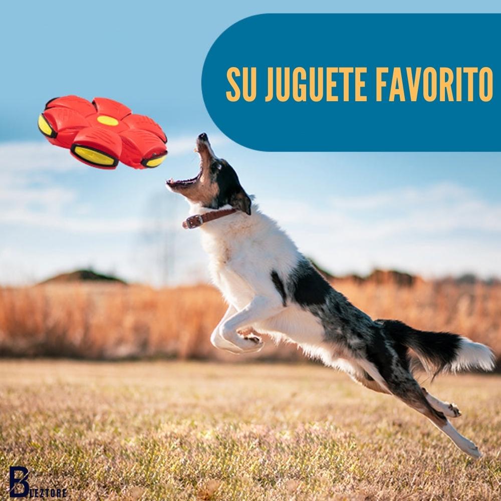 Juguete Disco Paws 🐶