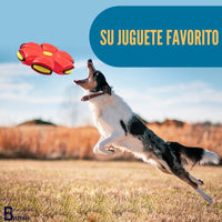 Juguete Disco Paws 🐶