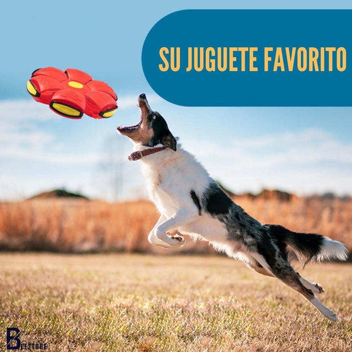 Juguete Disco Paws 🐶