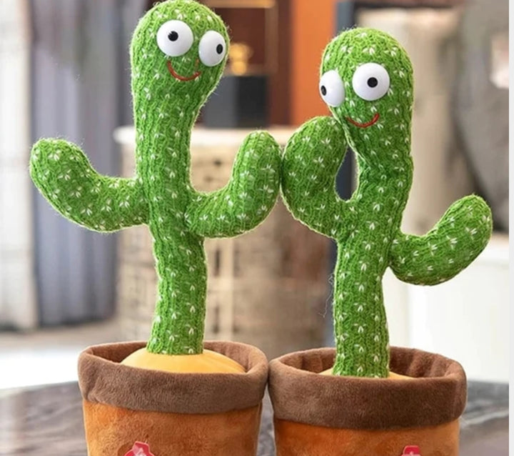 🌵Cactus Bailarín🌵
