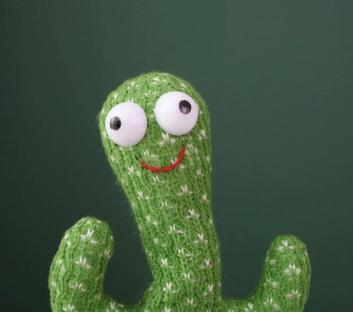 🌵Cactus Bailarín🌵